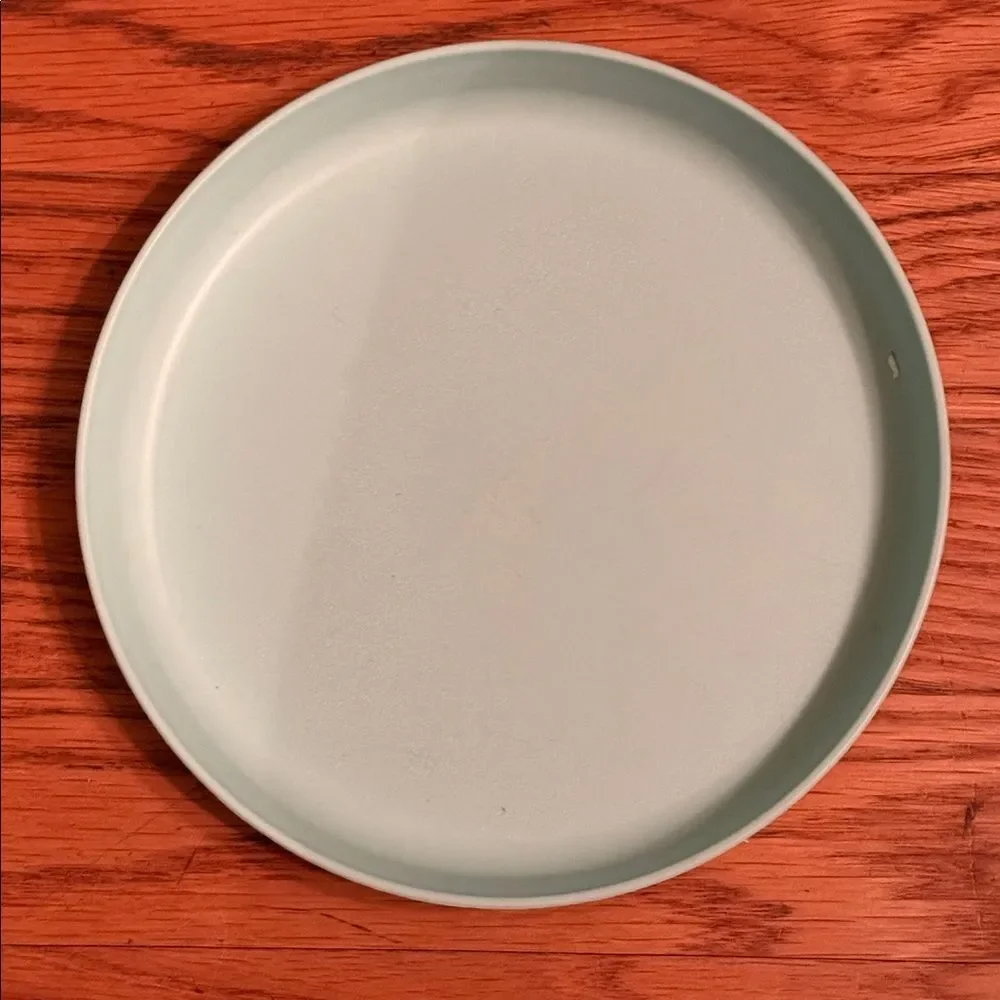 Pillowfort Silicone Divided Plates Set of Four in Pale Mint!